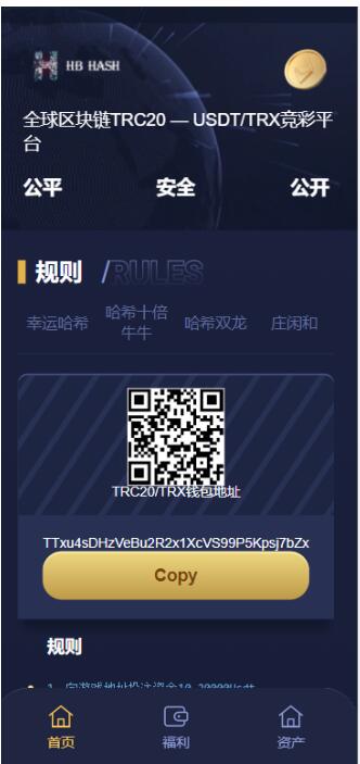 哈希竞猜源码-支持四种玩法
