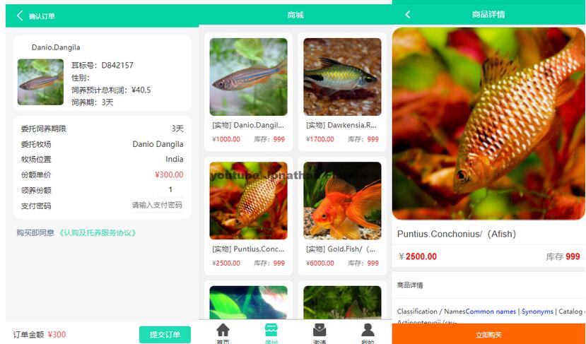 图片[3]-养鱼金融投资理财源码 支持商城 抽奖 投资收益余额宝等！ 双语言支持中英文