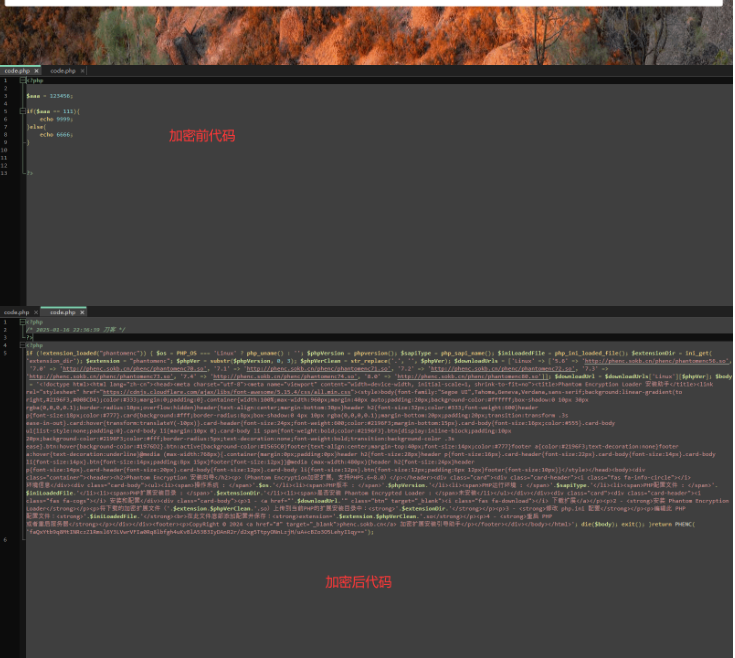 图片[2]-全新phpenc代码加密系统源码 PHP代码加密程序源码