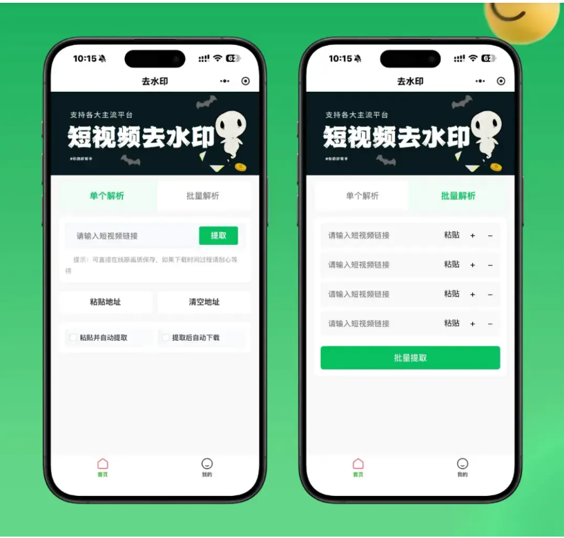 2026最新去水印小程序源码 v1.6.5 带流量主广告变现功能-123源码