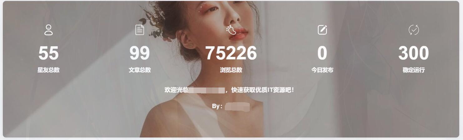 子比主题添加底部统计信息模块小工具